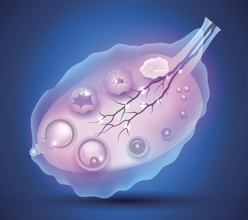 高龄在西安做试管要多少钱？助孕专家揭秘成功率与费用的黄金比例,40+必看!